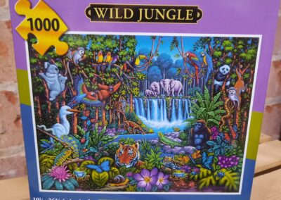 1000 piece puzzle